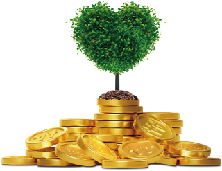 마자요와 함께하는 성장